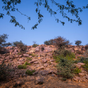 Sweet Hill – God’s Playground