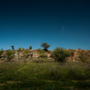 Quiet Playground – Shadowed Brilliance