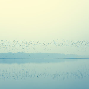 Unveiling – The Heavenly Crowd