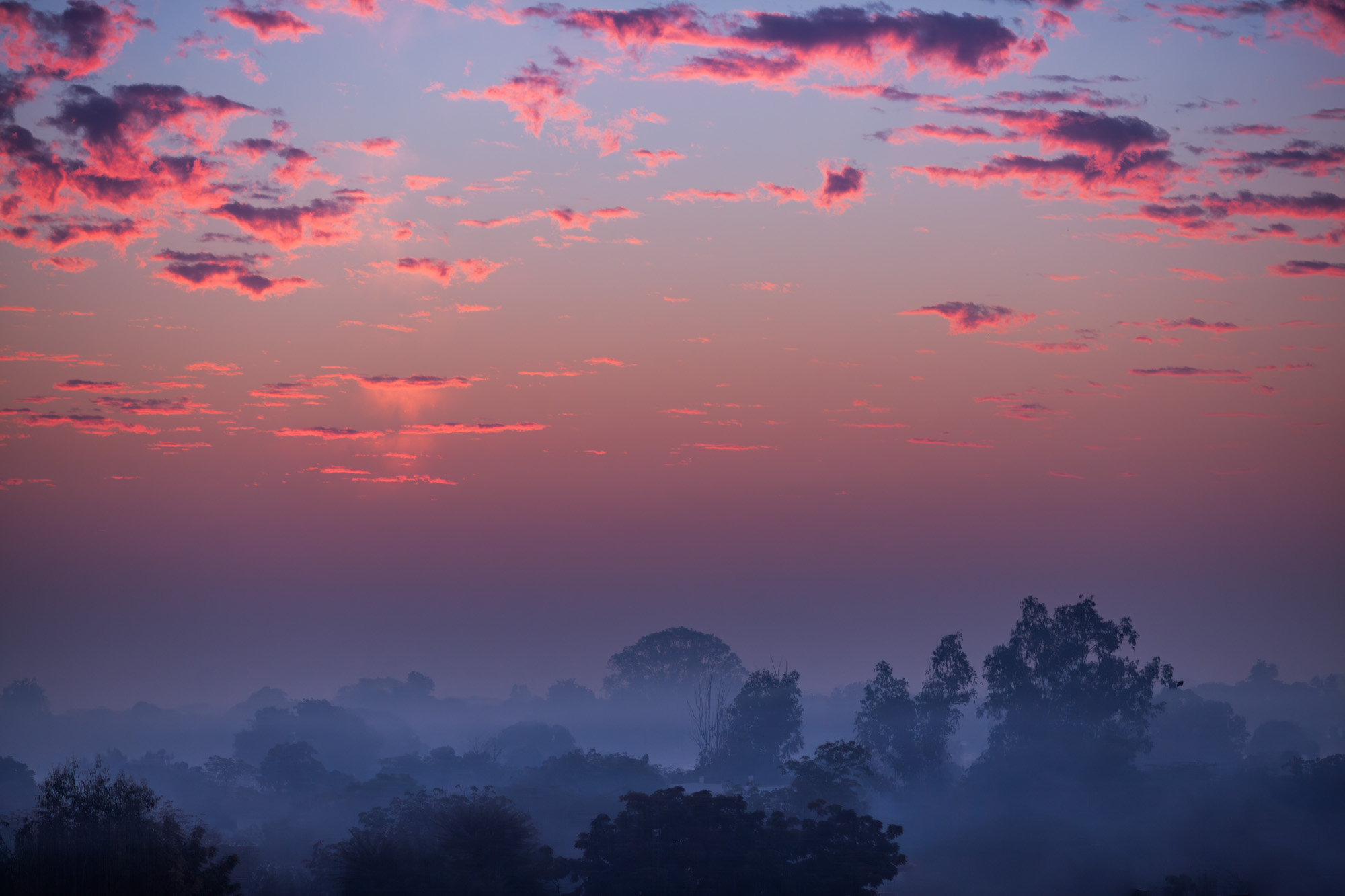 Dawn's Tremor
