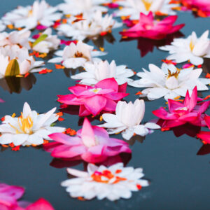 Surfacing Fragrance – Imprints of Transcendence