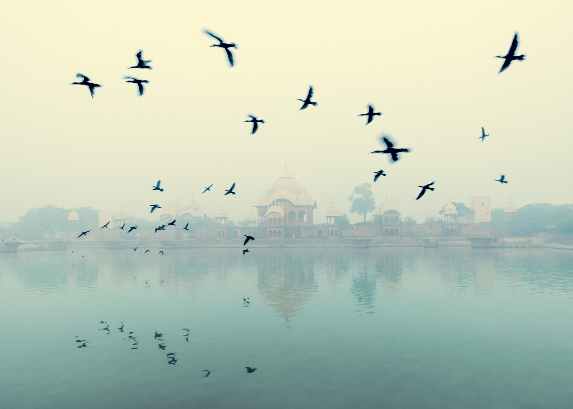 Unveiling - Pond of Sweet Quarrels
