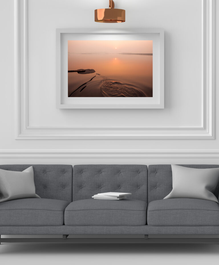 Mockup blank photo frame with shadow leaf on the wall, Template